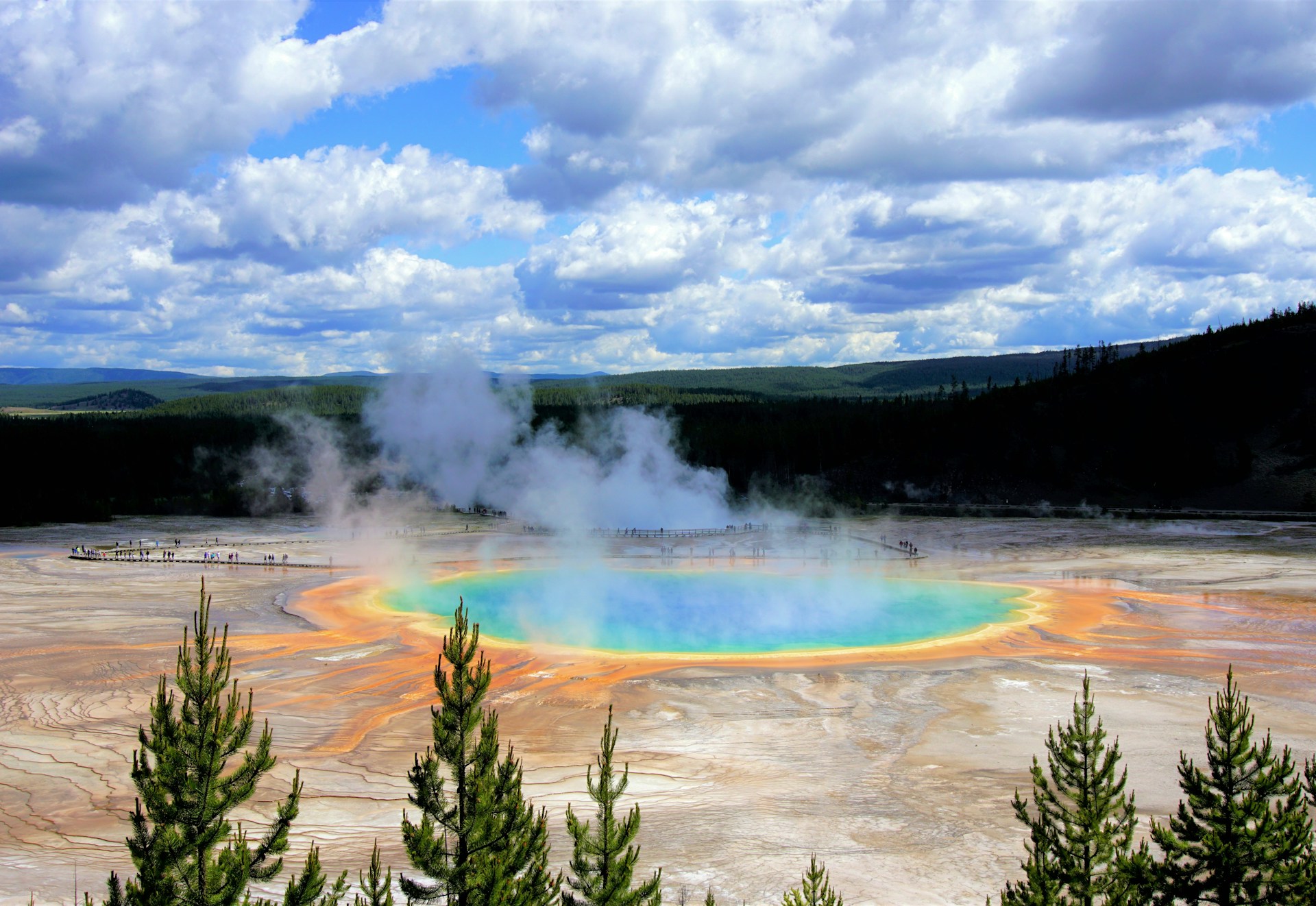 Discovering Yellowstone: A Challenge for Your Park Knowledge