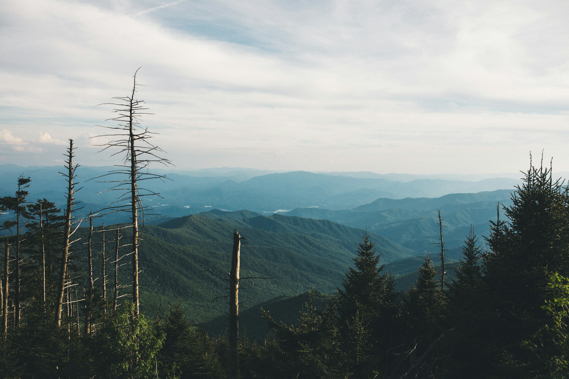 Great Smoky Mountains: A Challenge for Your Park Knowledge